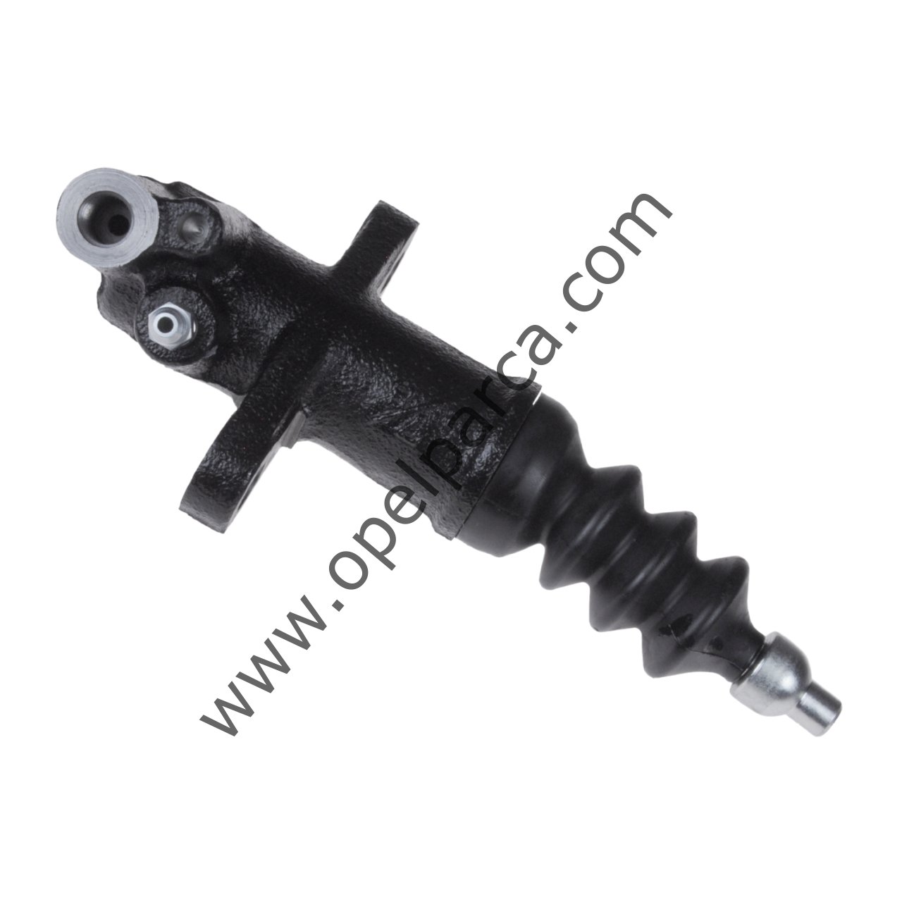 adg03613-1.jpg?revision=1750339833